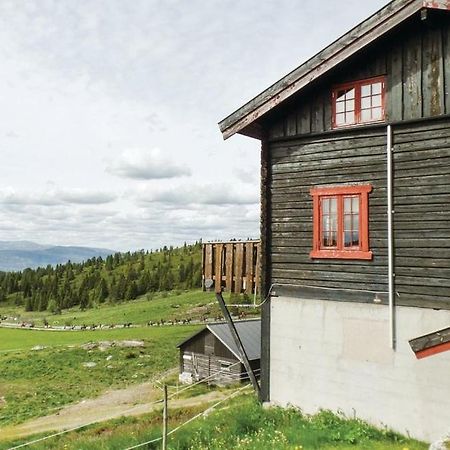 Sulseter Fjellstugu Lejlighed Vinstra Eksteriør billede