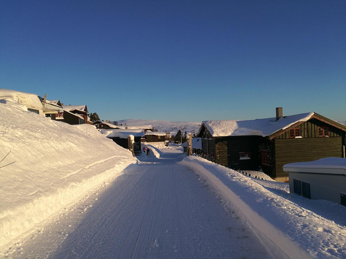 Sulseter Fjellstugu Lejlighed Vinstra Eksteriør billede
