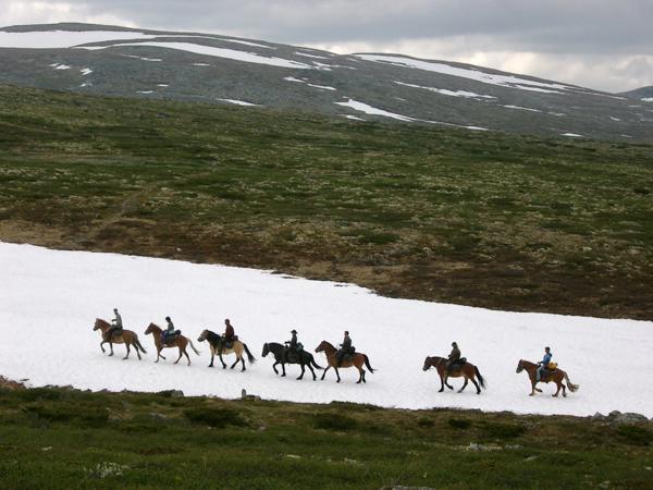 Sulseter Fjellstugu Lejlighed Vinstra Eksteriør billede